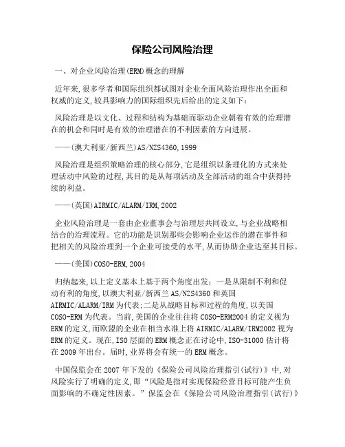 保险公司风险管理(1)
