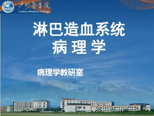 淋巴结病理学 (1)
