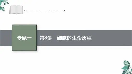 高中生物人教版细胞的生命历程ppt教学课件