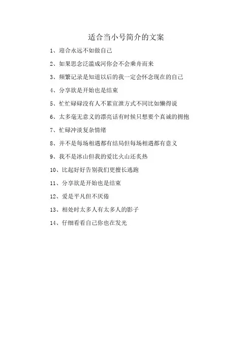 适合当小号简介的文案