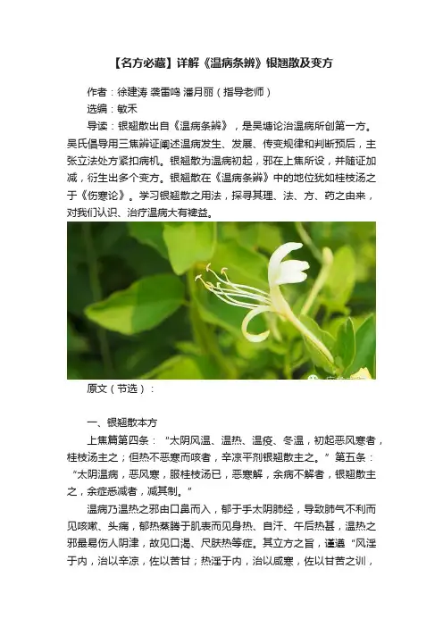 【名方必藏】详解《温病条辨》银翘散及变方