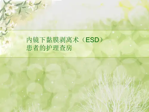 ESD术患者的护理查房要点