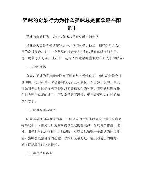 猫咪的奇妙行为为什么猫咪总是喜欢睡在阳光下