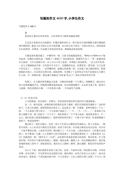 写猫的作文400字_小学生作文
