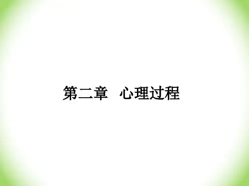 心理学 第2章 心里过程