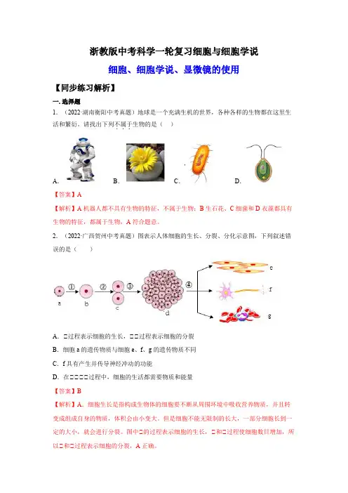 1.细胞与细胞学说(练习)