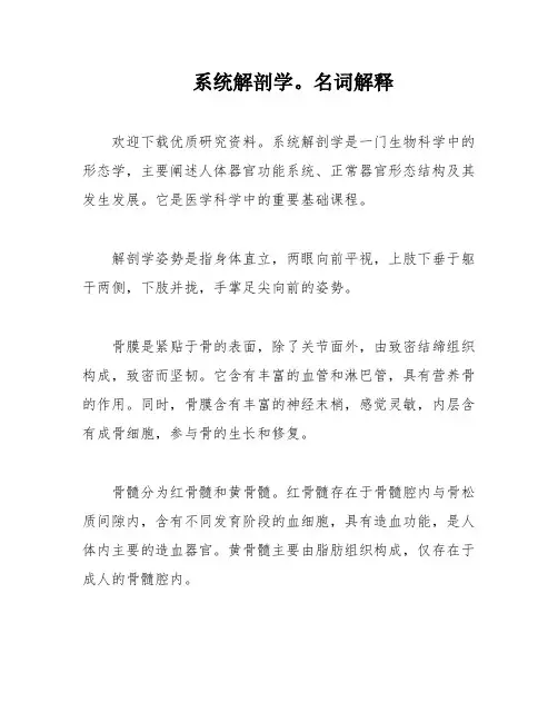 系统解剖学。名词解释