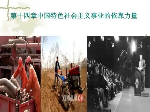 第十四章  中国特色社会主义事业的依靠力量