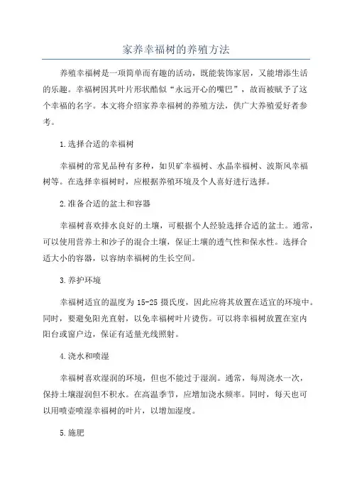 家养幸福树的养殖方法
