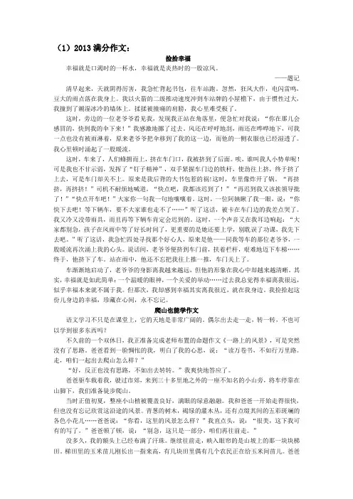 2013年中考满分作文