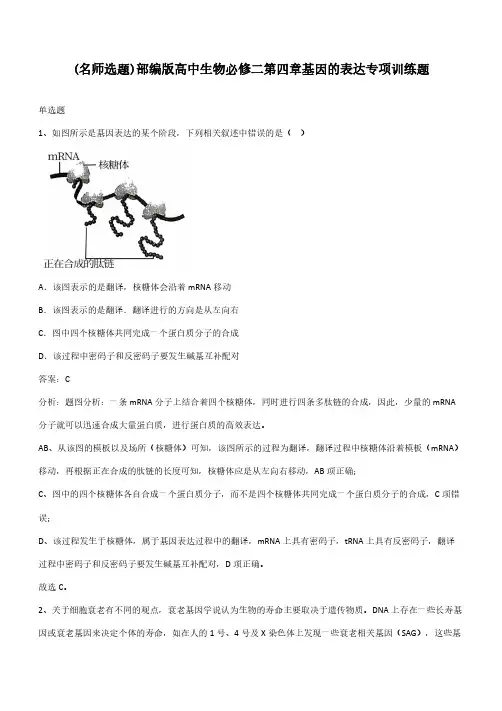 部编版高中生物必修二第四章基因的表达专项训练题