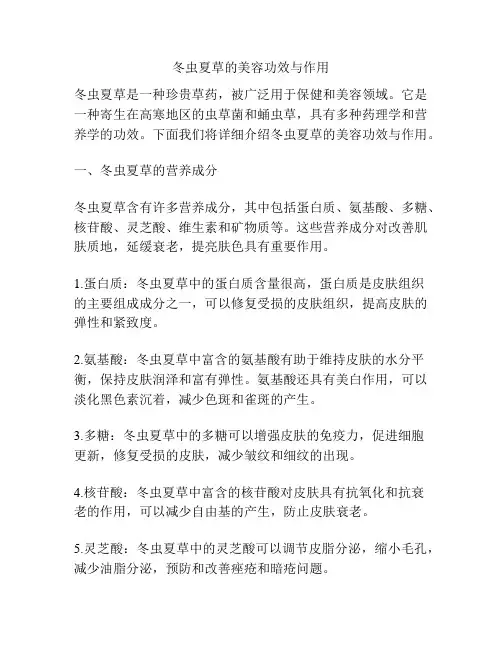 冬虫夏草的美容功效与作用