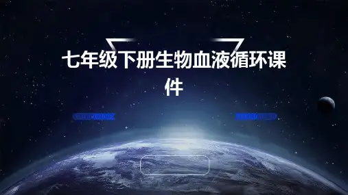 七年级下册生物血液循环课件