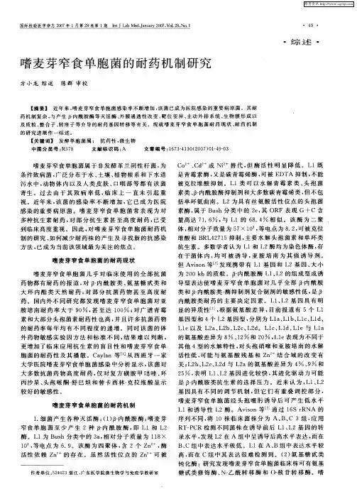 嗜麦芽窄食单胞菌的耐药机制研究