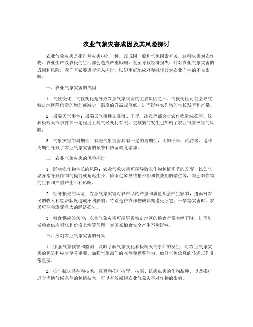 农业气象灾害成因及其风险探讨