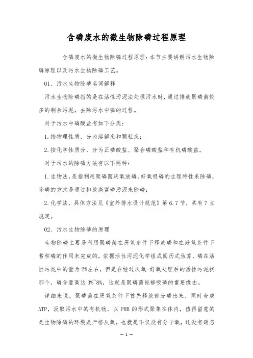 含磷废水的微生物除磷过程原理