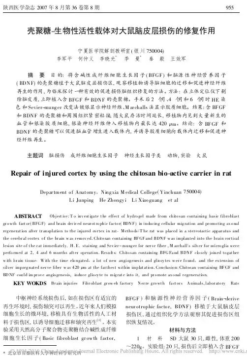 壳聚糖_生物性活性载体对大鼠脑皮层损伤的修复作用