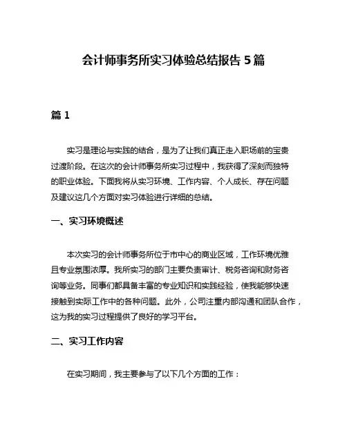 会计师事务所实习体验总结报告5篇