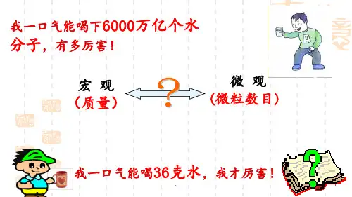 必修一物质的量PPT课件