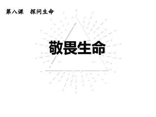 人教版道德与法治七年级上册8.2敬畏生命课件132