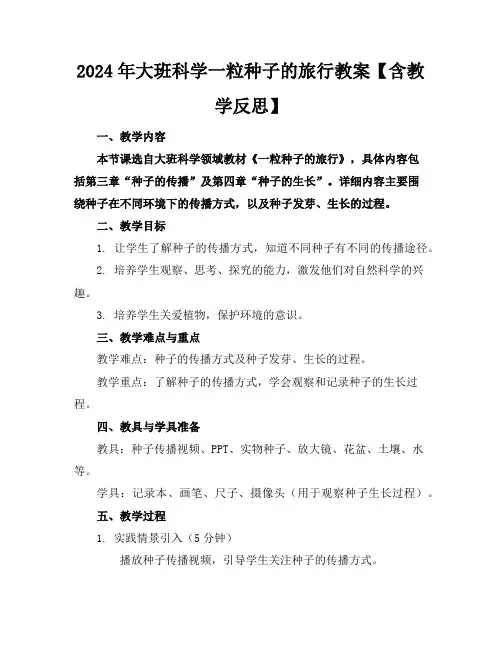 2024年大班科学一粒种子的旅行教案【含教学反思】