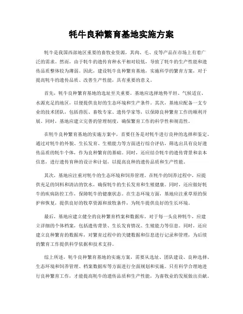 牦牛良种繁育基地实施方案