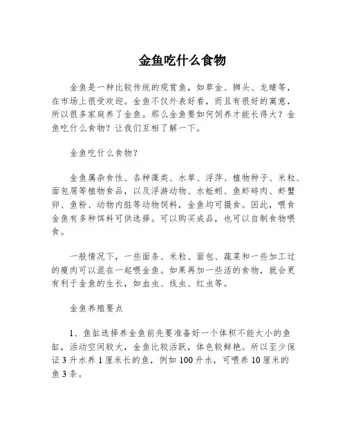 金鱼吃什么食物