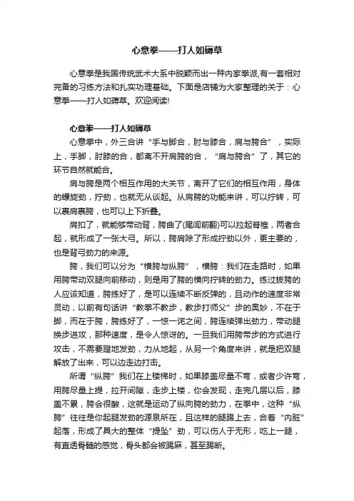 心意拳——打人如薅草