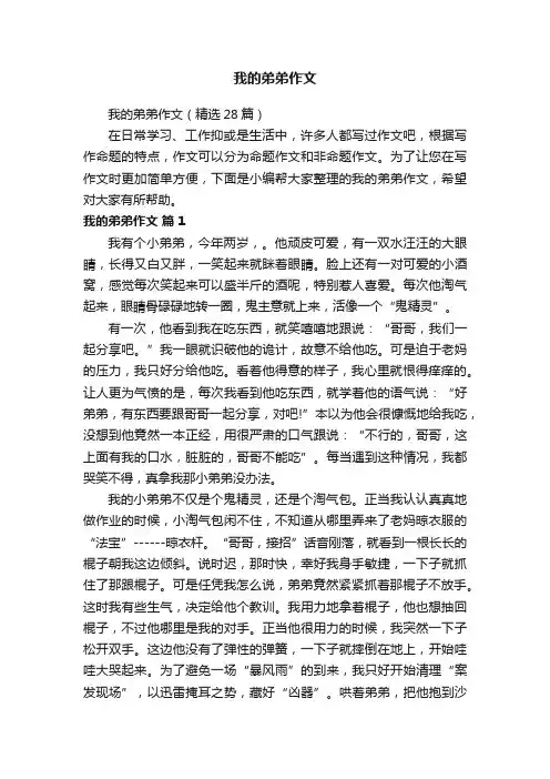 我的弟弟作文（精选28篇）
