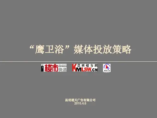 鹰牌卫浴媒体投放.ppt