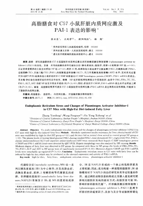 高脂膳食对C57小鼠肝脏内质网应激及PAI-1表达的影响
