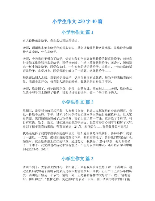 小学生作文250字40篇