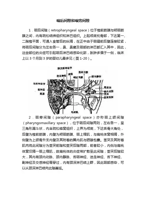 咽后间隙和咽旁间隙