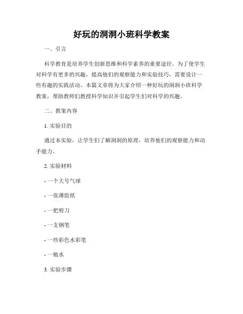 好玩的洞洞小班科学教案