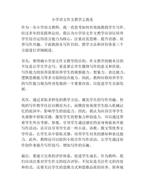 小学语文作文教学之我见