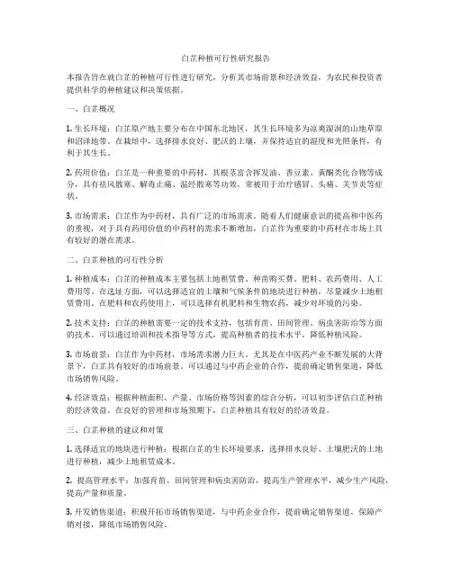 白芷种植可行性研究报告