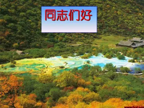 煤矿安全