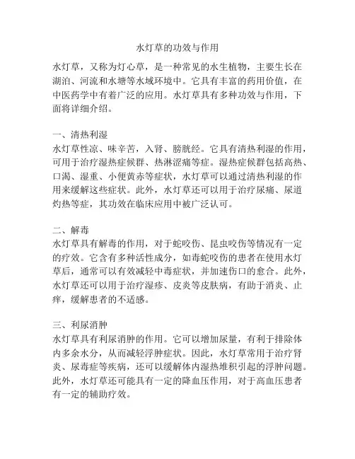 水灯草的功效与作用