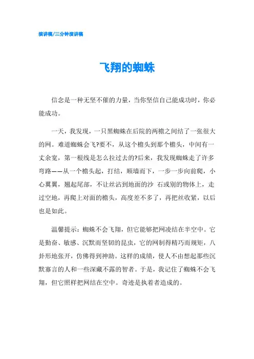 飞翔的蜘蛛-精品
