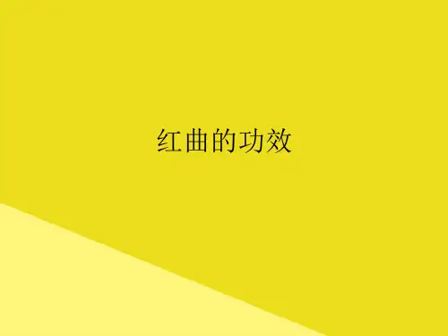 红曲的功效PPT资料(正式版)