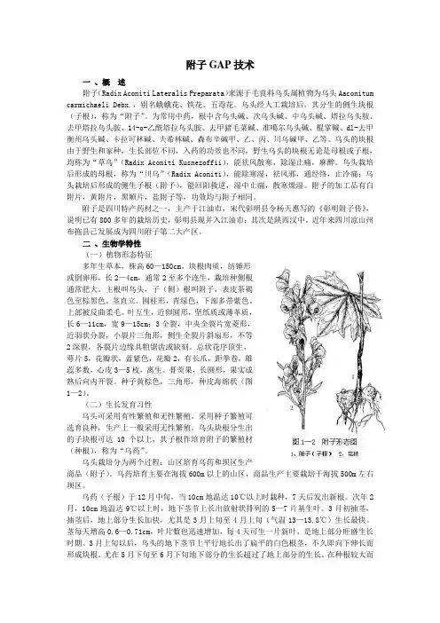 附子GAP技术