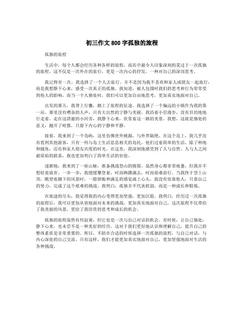 初三作文800字孤独的旅程