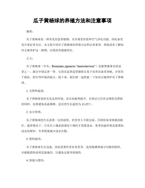 瓜子黄杨球的养殖方法和注意事项