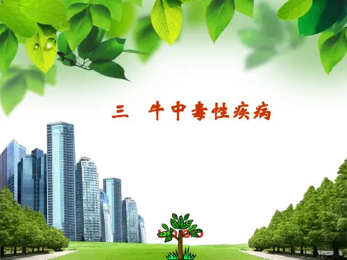 牛中毒性疾病大全