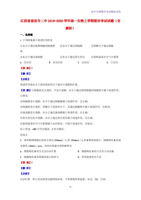 2019-2020学年江西省南昌市二中高一生物上学期期末考试生物试题含解析