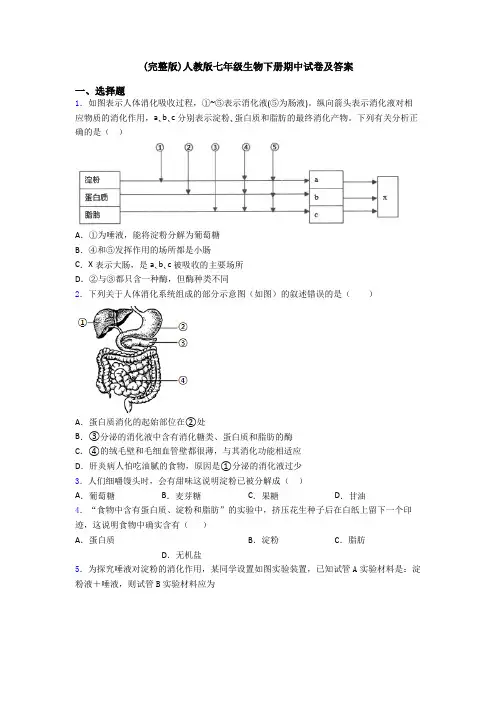 (完整版)人教版七年级生物下册期中试卷及答案