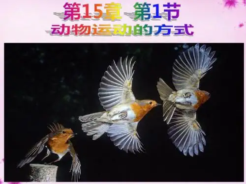 第1节动物运动的方式