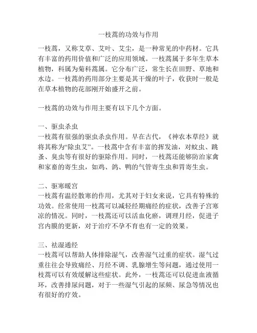 一枝蒿的功效与作用