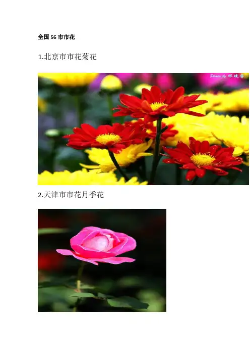 全国56市市花