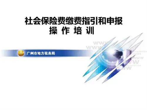 社保费课程PPT课件(最新)
